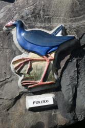 Carving of the Pukeko: There is a series of carvings along the walkway depicting the birds that can be seen in the area. They will probably last rather better that the photos that are more commonly displayed